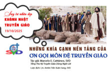 Những khía cạnh của Ơn gọi Môn đệ Truyền giáo