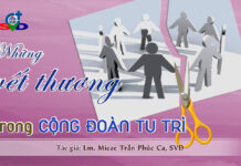 NHỮNG VẾT THƯƠNG TRONG CỘNG ĐOÀN TU TRÌ