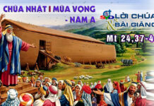 Lời Chúa + Bài giảng Chúa Nhật 1 Mùa Vọng – Năm A