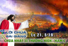 Lời Chúa + Bài giảng Chúa Nhật 33 Thường Niên – Năm C