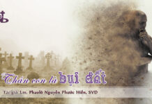 THÂN CON LÀ BỤI ĐẤT