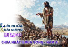 Lời Chúa + Bài giảng Chúa Nhật 2 Mùa Vọng – Năm A