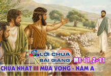 Lời Chúa + Bài giảng Chúa Nhật 3 Mùa Vọng – Năm A