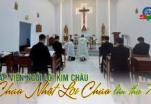 Tập viện Ngôi Lời cử hành Chúa Nhật Lời Chúa 2026