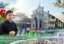 VĨNH TUY TRONG TÔI: NƠI SÔNG LÔ BỒI ĐẮP NHỮNG HẠT GIỐNG ĐỨC TIN