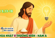 Lời Chúa + Bài giảng Chúa Nhật 5 Thường Niên – Năm A