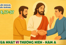 Lời Chúa + Bài giảng Chúa Nhật 6 Thường Niên – Năm A