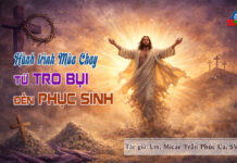 Hành trình Mùa Chay – từ tro bụi đến phục sinh