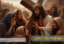 Don’t cry for me – Đừng khóc thương tôi