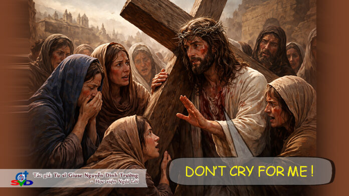 dont cry cv