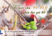 Thế giới cần vẻ đẹp hơn bao giờ hết!