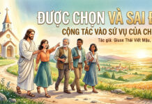 ĐƯỢC CHỌN VÀ SAI ĐI