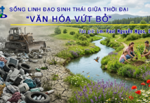 SỐNG LINH ĐẠO SINH THÁI GIỮA THỜI ĐẠI “VĂN HÓA VỨT BỎ”