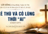 LỜI SỐNG (Chúa Nhật, Tuần 16 TN)
