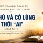 LỜI SỐNG (Chúa Nhật, Tuần 16 TN)