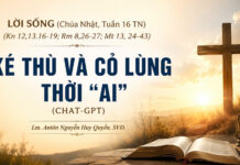LỜI SỐNG (Chúa Nhật, Tuần 16 TN)