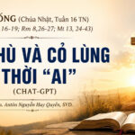 LỜI SỐNG (Chúa Nhật, Tuần 16 TN)