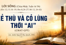 LỜI SỐNG (Chúa Nhật, Tuần 16 TN)
