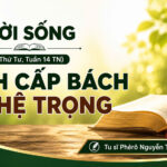 LỜI SỐNG (Thứ Tư, Tuần 14 TN)