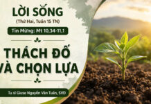 LỜI SỐNG (Thứ Hai, Tuần 15 TN)