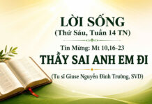 LỜI SỐNG (Thứ Sáu, Tuần 14 TN)