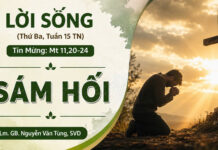 LỜI SỐNG (Thứ Ba, Tuần 15 TN)