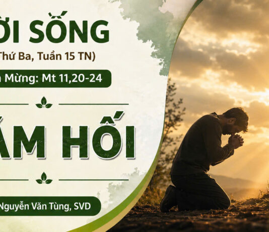 LỜI SỐNG (Thứ Ba, Tuần 15 TN)
