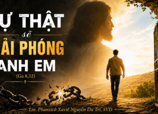 «SỰ THẬT SẼ GIẢI PHÓNG ANH EM» (Ga 8,32)