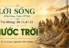 LỜI SỐNG (Thứ Năm, Tuần 17 TN)