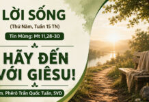 LỜI SỐNG (Thứ Năm, Tuần 15 TN)