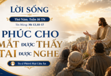LỜI SỐNG (Thứ Năm, Tuần 16 TN)