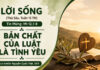 LỜI SỐNG (Thứ Sáu, Tuần 15 TN)