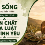 LỜI SỐNG (Thứ Sáu, Tuần 15 TN)