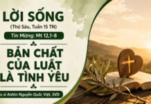 LỜI SỐNG (Thứ Sáu, Tuần 15 TN)
