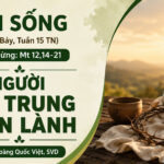 LỜI SỐNG (Thứ Bảy, Tuần 15 TN)