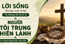 LỜI SỐNG (Thứ Bảy, Tuần 15 TN)