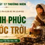 LỜI SỐNG (Chúa Nhật, Tuần 17 TN)