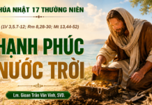 LỜI SỐNG (Chúa Nhật, Tuần 17 TN)