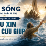 LỜI SỐNG (Thứ Hai, Tuần 18 TN)
