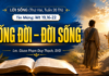 LỜI SỐNG (Thứ Hai, Tuần 20 TN)