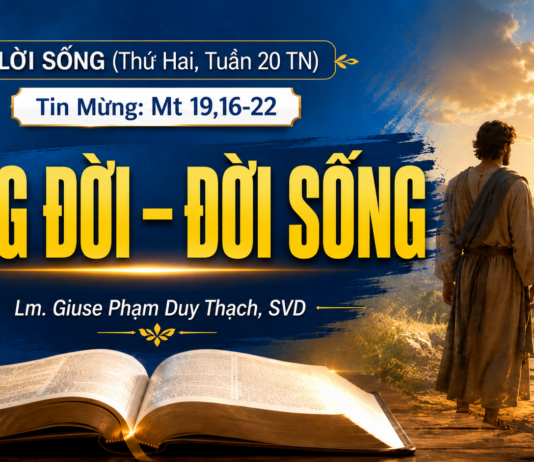 LỜI SỐNG (Thứ Hai, Tuần 20 TN)