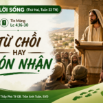 LỜI SỐNG (Thứ Hai, Tuần 22 TN)