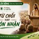 LỜI SỐNG (Thứ Hai, Tuần 22 TN)