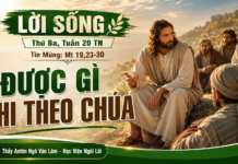 LỜI SỐNG (Thứ Ba, Tuần 20 TN)