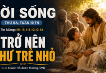 LỜI SỐNG (Thứ Ba, Tuần 19 TN)