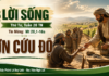 LỜI SỐNG (Thứ Tư, Tuần 20 TN)