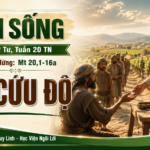 LỜI SỐNG (Thứ Tư, Tuần 20 TN)