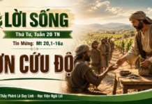 LỜI SỐNG (Thứ Tư, Tuần 20 TN)