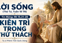 LỜI SỐNG (Thứ Tư, Tuần 18 TN)