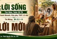 LỜI SỐNG (Thứ Năm, Tuần 20 TN)